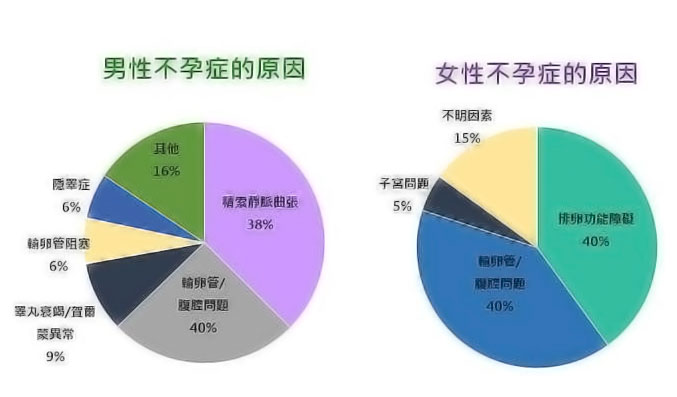 不孕不育男女原因.jpg